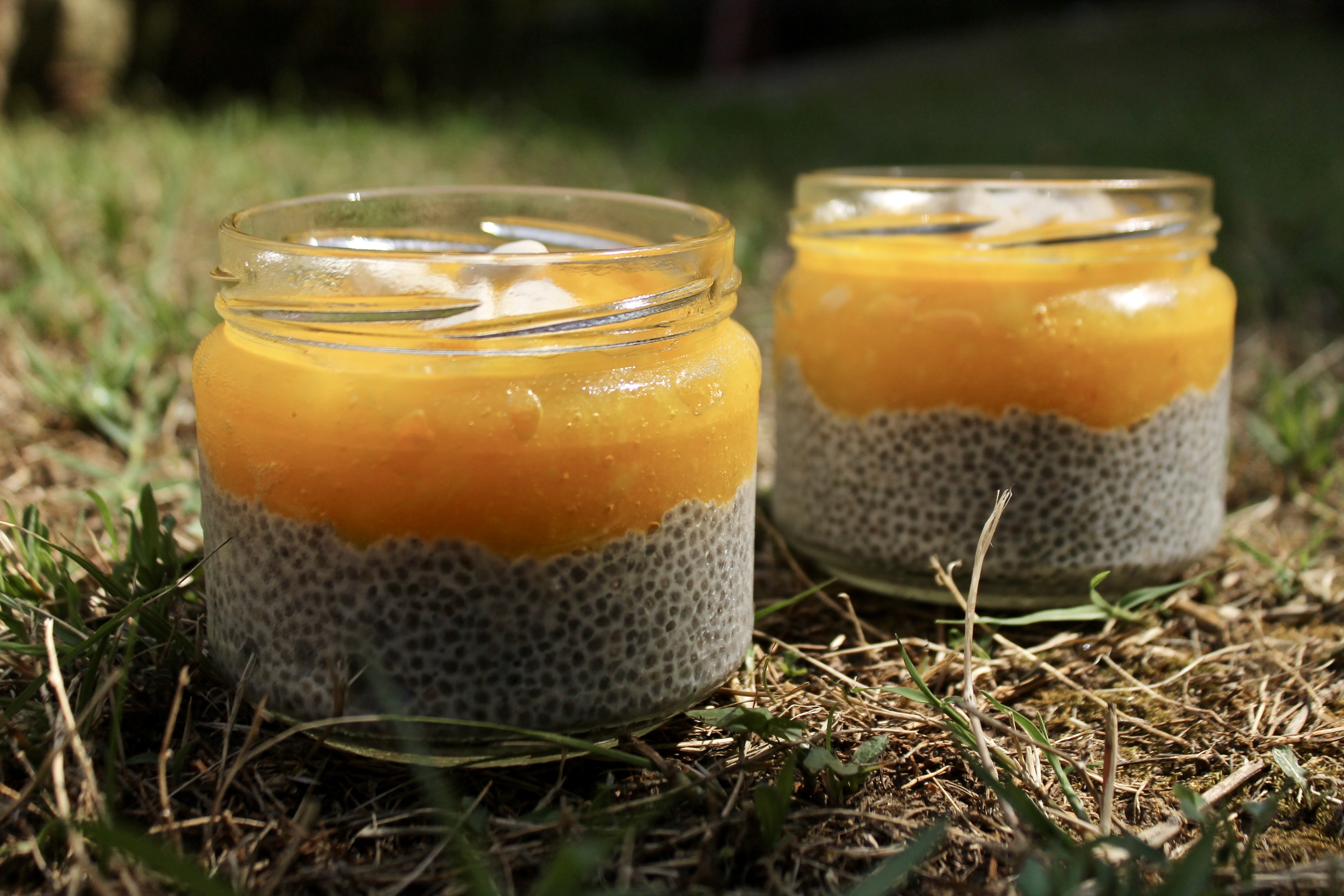 Kayısılı Chia Puding